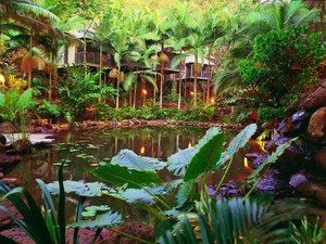 Daintree Eco Lodge & Spa - Accommodation Search 0