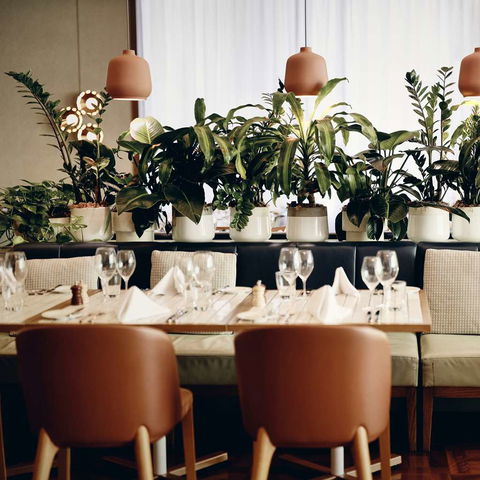 Amora Hotel Jamison Sydney - Accommodation Search 12