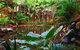 Daintree Eco Lodge & Spa - thumb 0