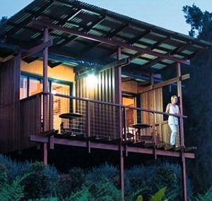 O'Reilly's Rainforest Guesthouse - Accommodation Search 1