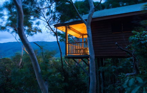 Thala Beach Nature Reserve - Accommodation Search 0