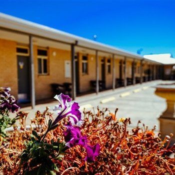 MAS Country Club Motor Inn - Accommodation Search 1
