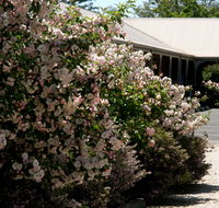 Wine Village Motor Inn - Accommodation Search