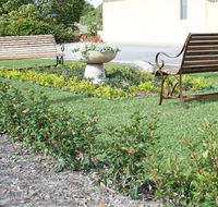 SureStay by BW The Clarence on Melville - Accommodation Search