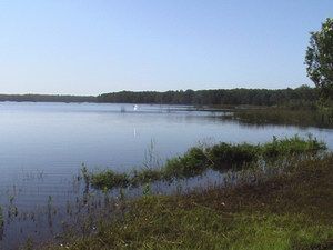 Cabarita Lake Apartments - Accommodation Search 2