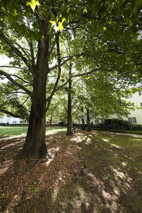 University House - ANU - Accommodation Search 28