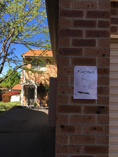 Finches Canberra - Accommodation Search 6