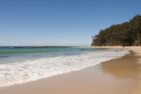 Mollymook Beachfront Penthouse 9 - Accommodation Search 0