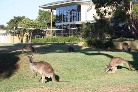 BreakFree Wirrina Cove - Accommodation Search 28