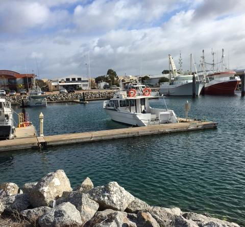 Port Lincoln Shark Apartment 1 - Accommodation Search 14