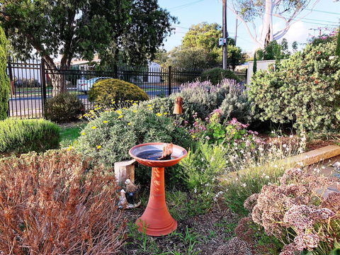 Beautiful Garden House - Accommodation Search 21