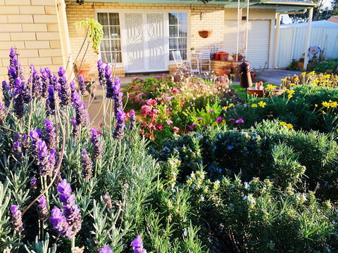 Beautiful Garden House - Accommodation Search 9