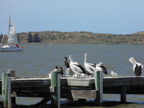 Baronet B & B - Accommodation Search 20