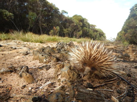 Kangaroo Island Wilderness Retreat - Accommodation Search 20