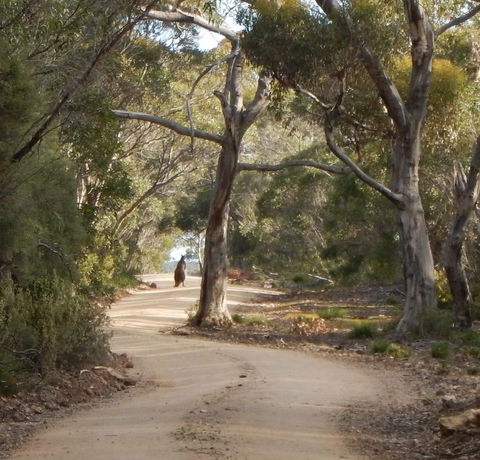 Kangaroo Island Wilderness Retreat - Accommodation Search 22