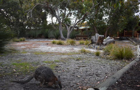 Kangaroo Island Wilderness Retreat - Accommodation Search 1