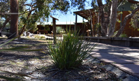 Kangaroo Island Wilderness Retreat - Accommodation Search 21