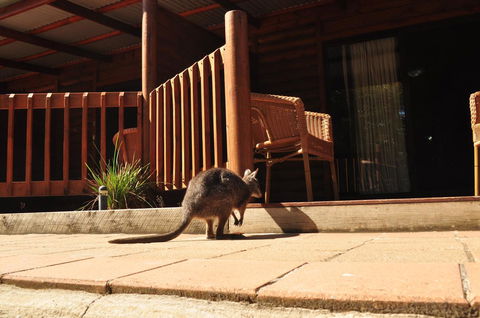 Kangaroo Island Wilderness Retreat - Accommodation Search 9