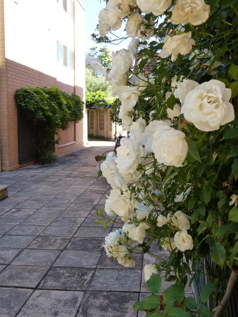 Monaco Court Apartment Adelaide - Accommodation Search 19
