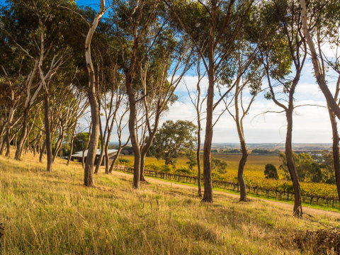 Shadow Creek McLaren Vale - Accommodation Search 5