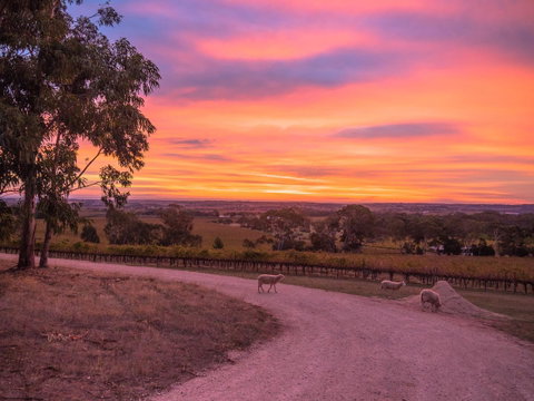 Shadow Creek McLaren Vale - Accommodation Search 24