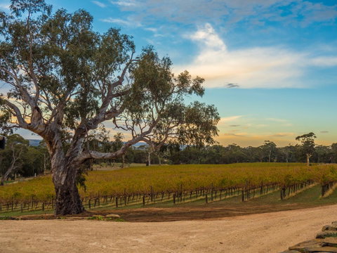 Shadow Creek McLaren Vale - Accommodation Search 23