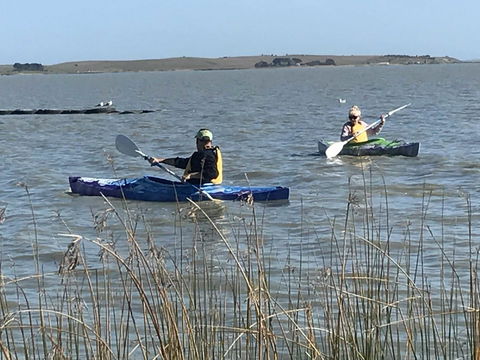 Hydeaway Bay - Own Private Bay + Kayaks - Accommodation Search 30