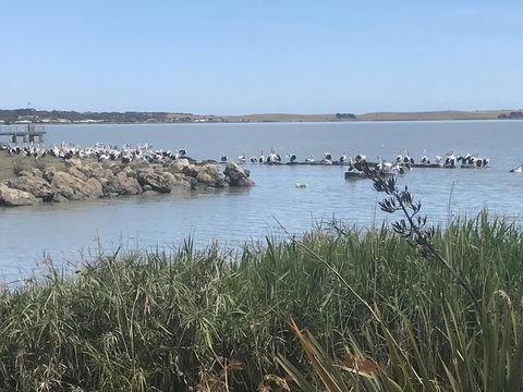 Hydeaway Bay - Own Private Bay + Kayaks - Accommodation Search 34