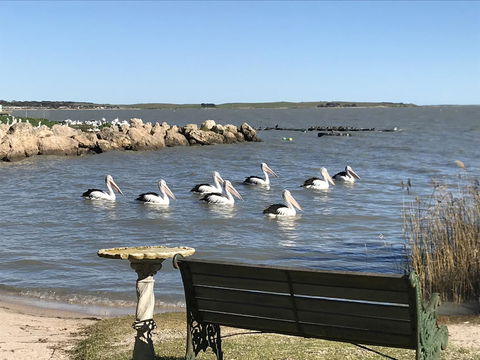 Hydeaway Bay - Own Private Bay + Kayaks - Accommodation Search 18
