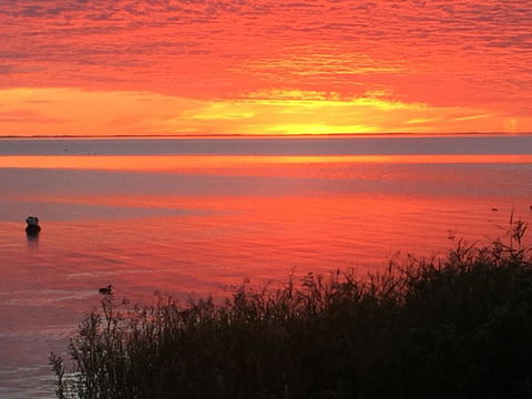 Hydeaway Bay - Own Private Bay + Kayaks - Accommodation Search 37