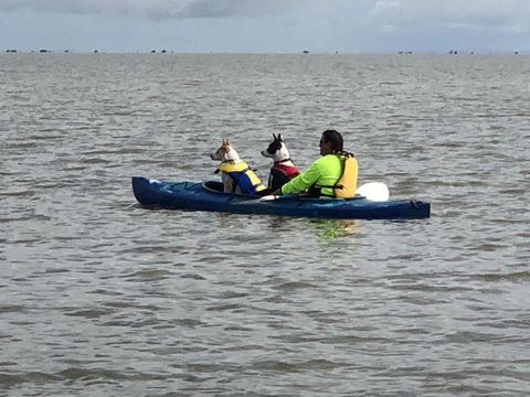 Hydeaway Bay - Own Private Bay + Kayaks - Accommodation Search 31