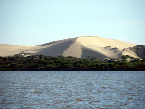 Coorong Waterfront Retreat - Accommodation Search 27