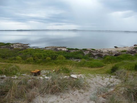 Coorong Waterfront Retreat - Accommodation Search 28