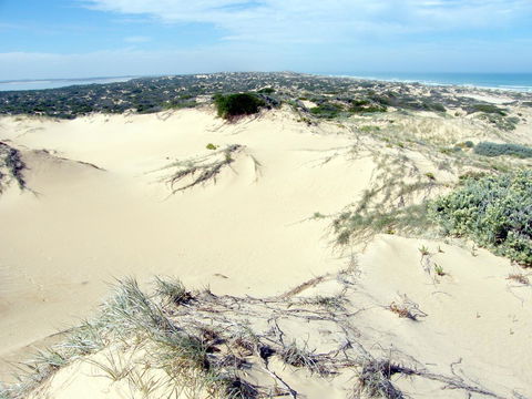 Coorong Waterfront Retreat - Accommodation Search 32