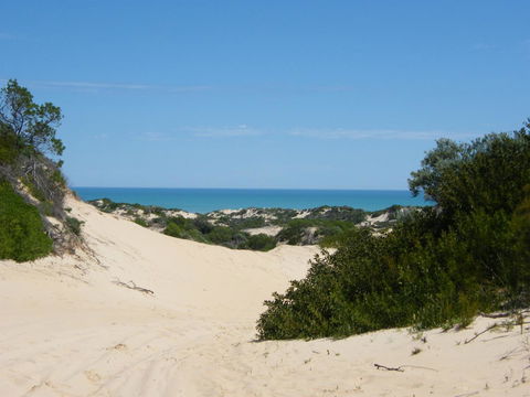 Coorong Waterfront Retreat - Accommodation Search 23