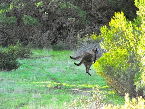 A Dune Escape - Accommodation Search 25