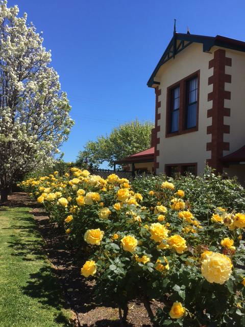 Wine And Roses Bed And Breakfast - Accommodation Search 5