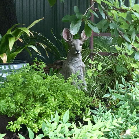 Hahndorf Oak Tree Cottages - Accommodation Search 12