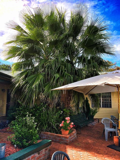 Ten Dollar Town Motel - Accommodation Search 17