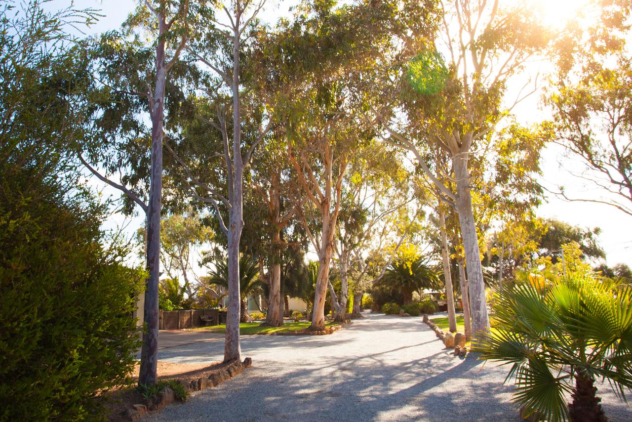  Accommodation Search