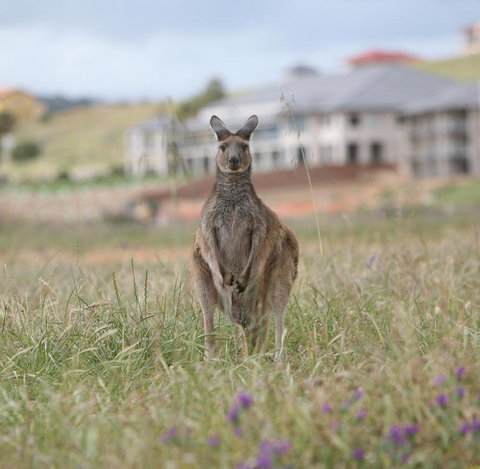 Lady Bay Hotel - Accommodation Search 18