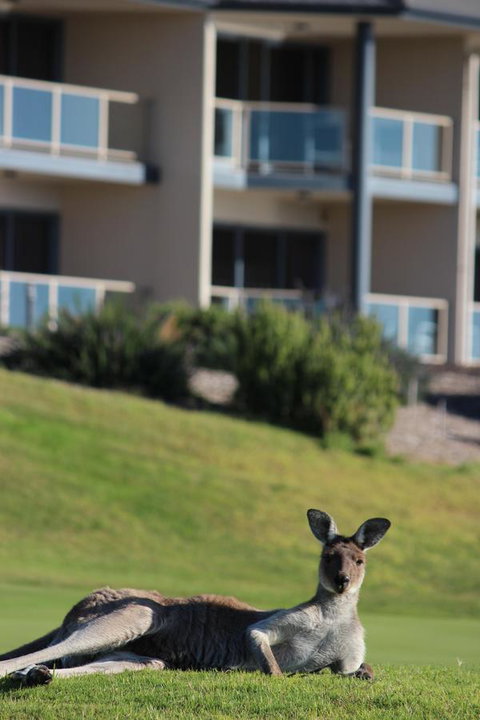 Lady Bay Hotel - Accommodation Search 16