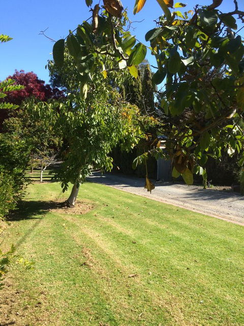Vineyard Cottage BnB - Accommodation Search 17