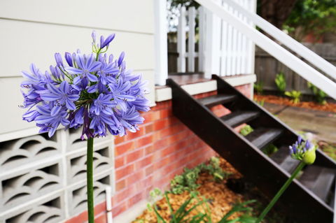 Hudson Bay @ Basin View-Pet Friendly-15 Mins To Hyams Beach - Accommodation Search 38