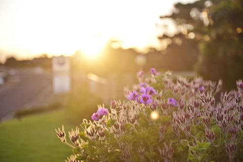 Kangaroo Island Seaside Inn - Accommodation Search 33