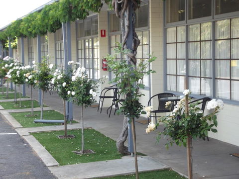 Guichen Bay Motel - Accommodation Search 38