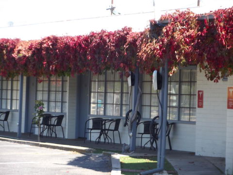 Guichen Bay Motel - Accommodation Search 23