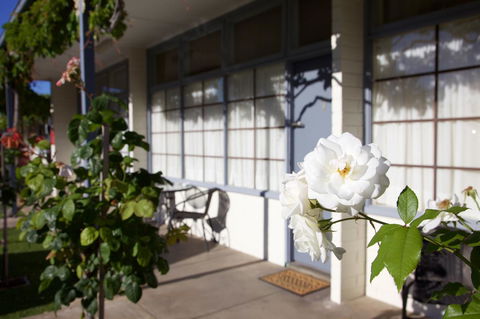 Guichen Bay Motel - Accommodation Search 33