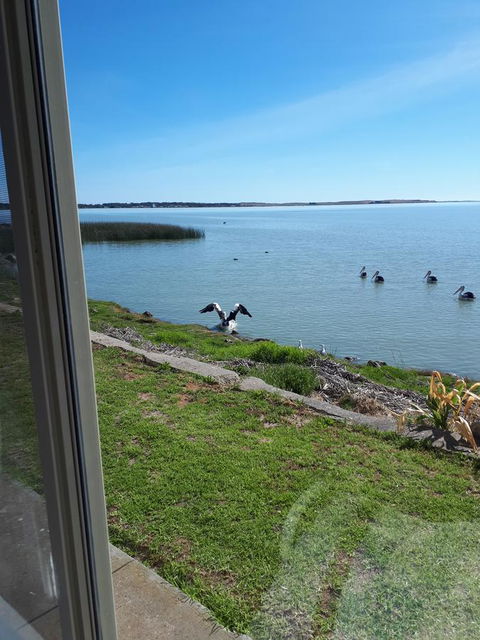 Meningie Waterfront Motel - Accommodation Search 32