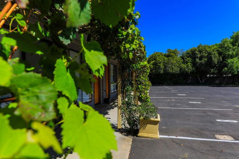 Country Roads Motor Inn Naracoorte - Accommodation Search 16
